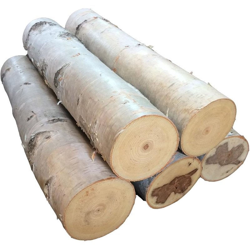 Large birch fireplace logs, set of 5