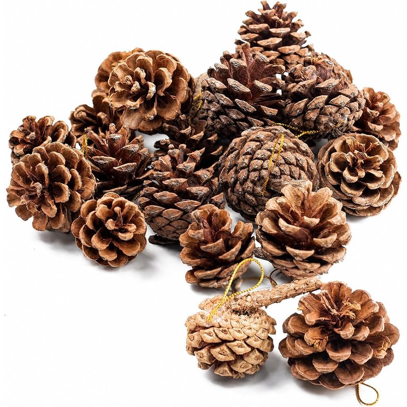 Natural hanging pinecones