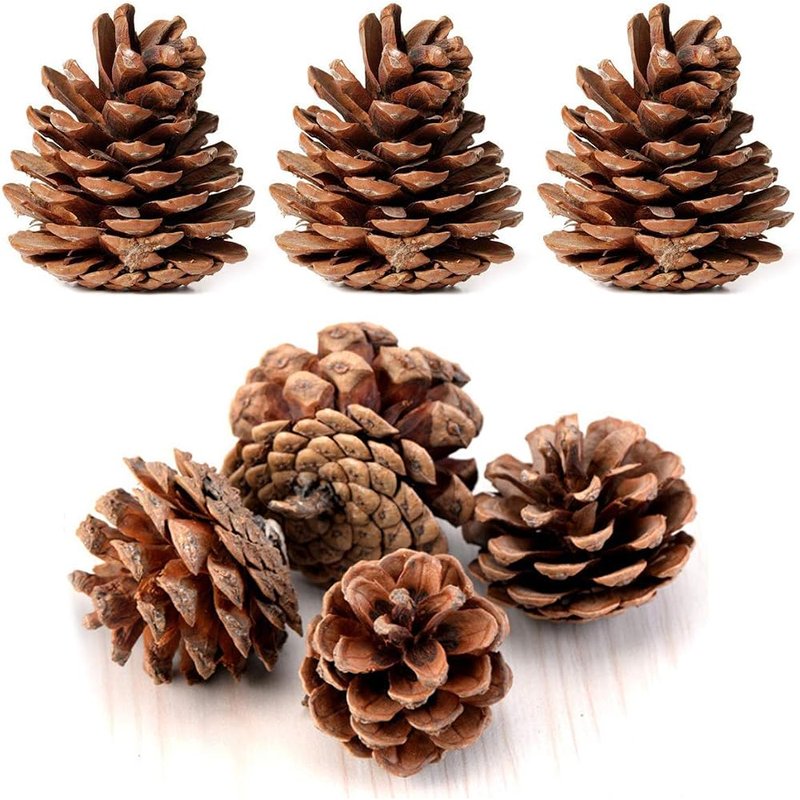 Natural pinecones, 24 pack