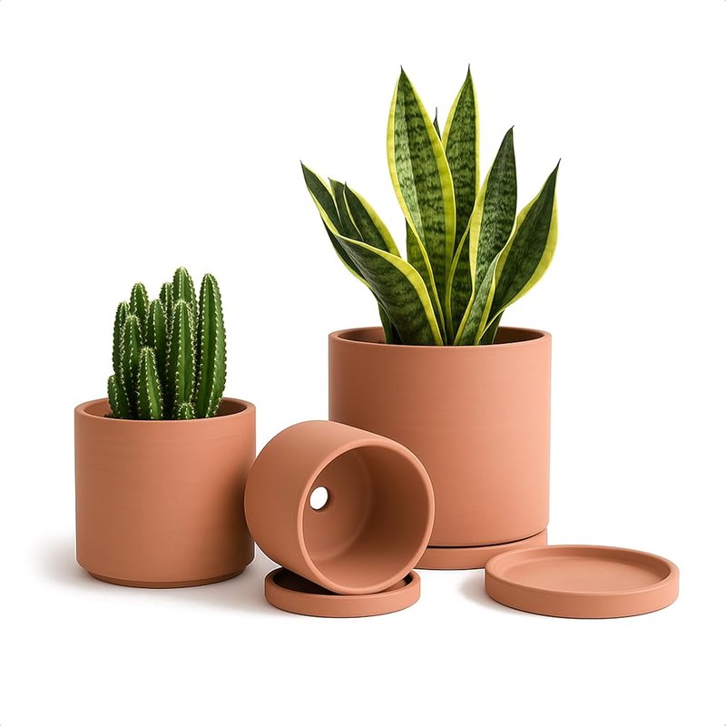 D'vine Dev terracotta pots, set of 3