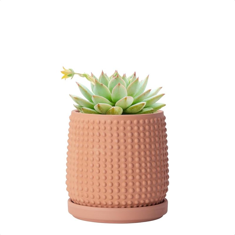 Beaded terracotta pot