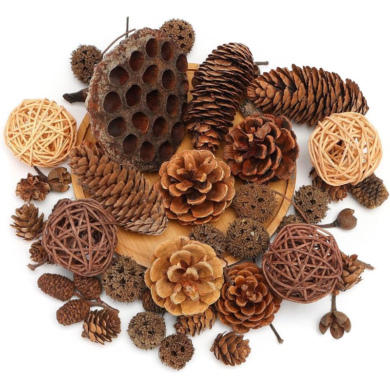 Natural pine cone set