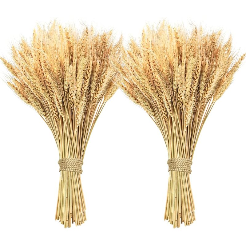 Dried wheat stalks