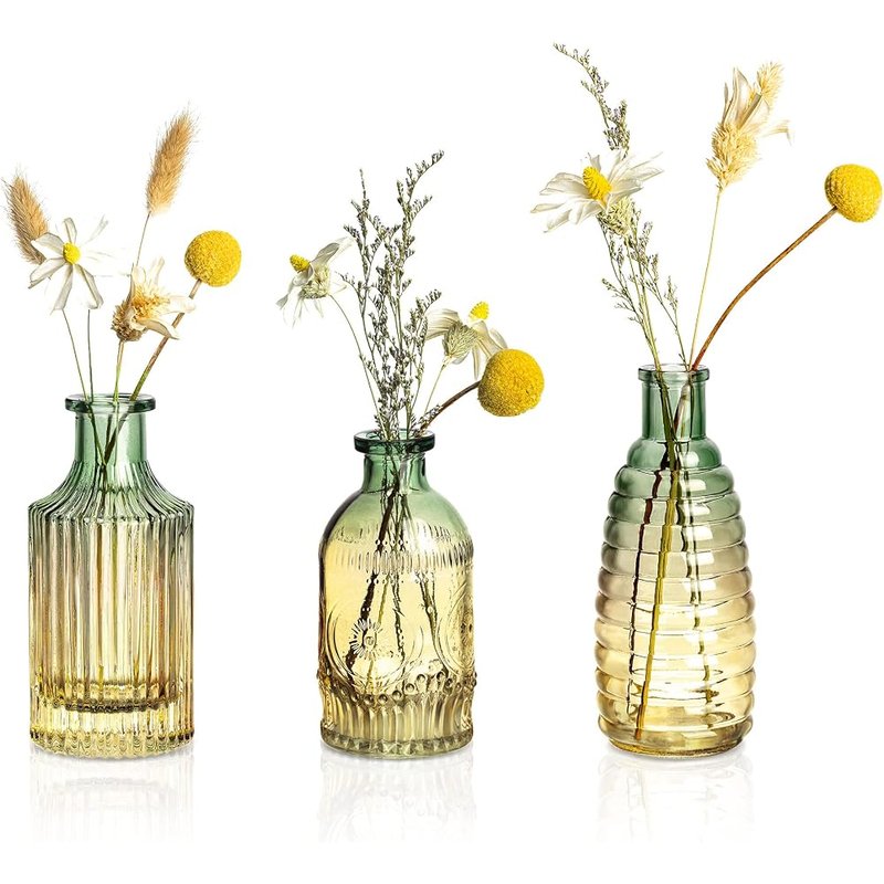 Joeyan embossed glass bud vases, set of 3