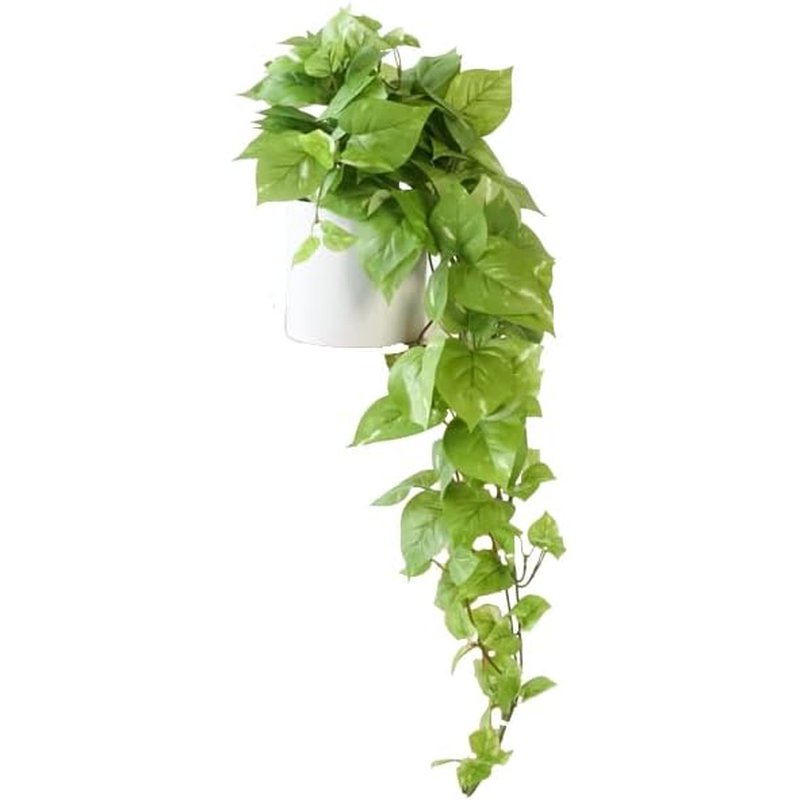 Retrograde faux pothos, 32 inch