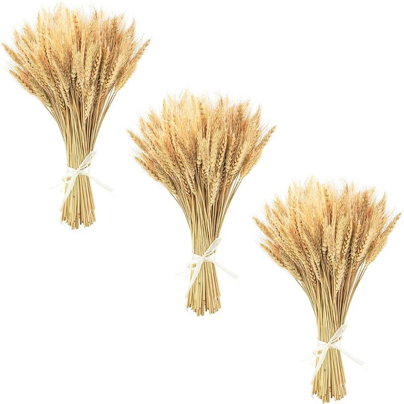 Natural dried wheat bundles