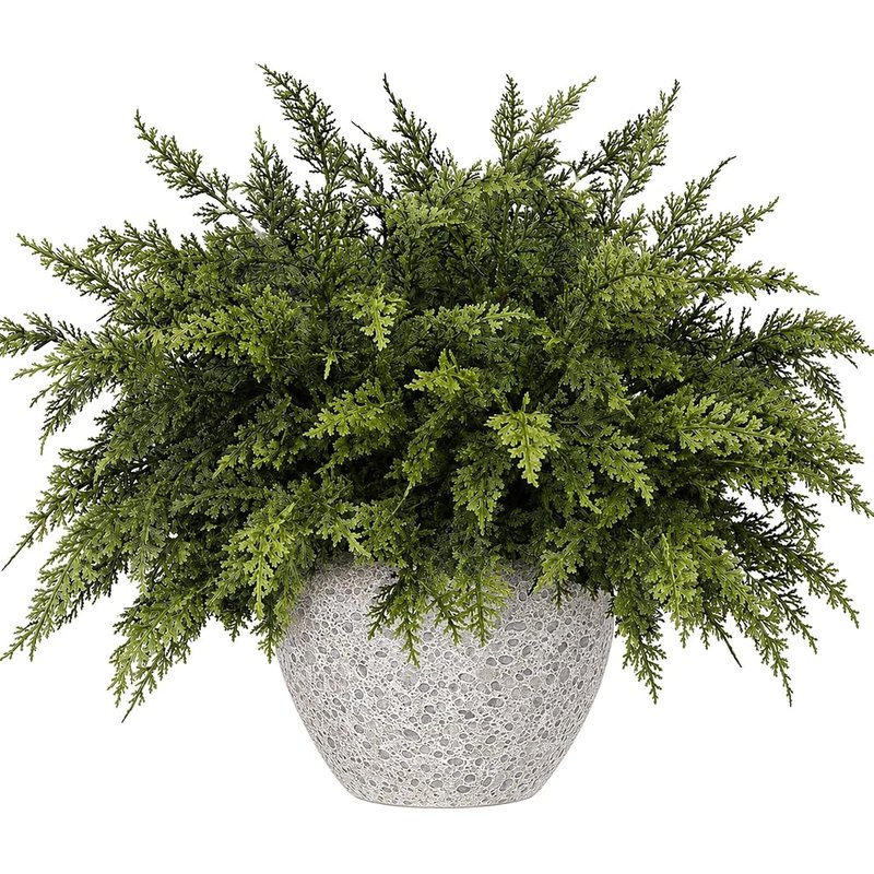 Pine cypress branches, 10 pack